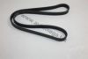 AUTOMEGA 3063400615 V-Ribbed Belts